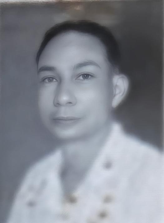 Johan Louis de Roode