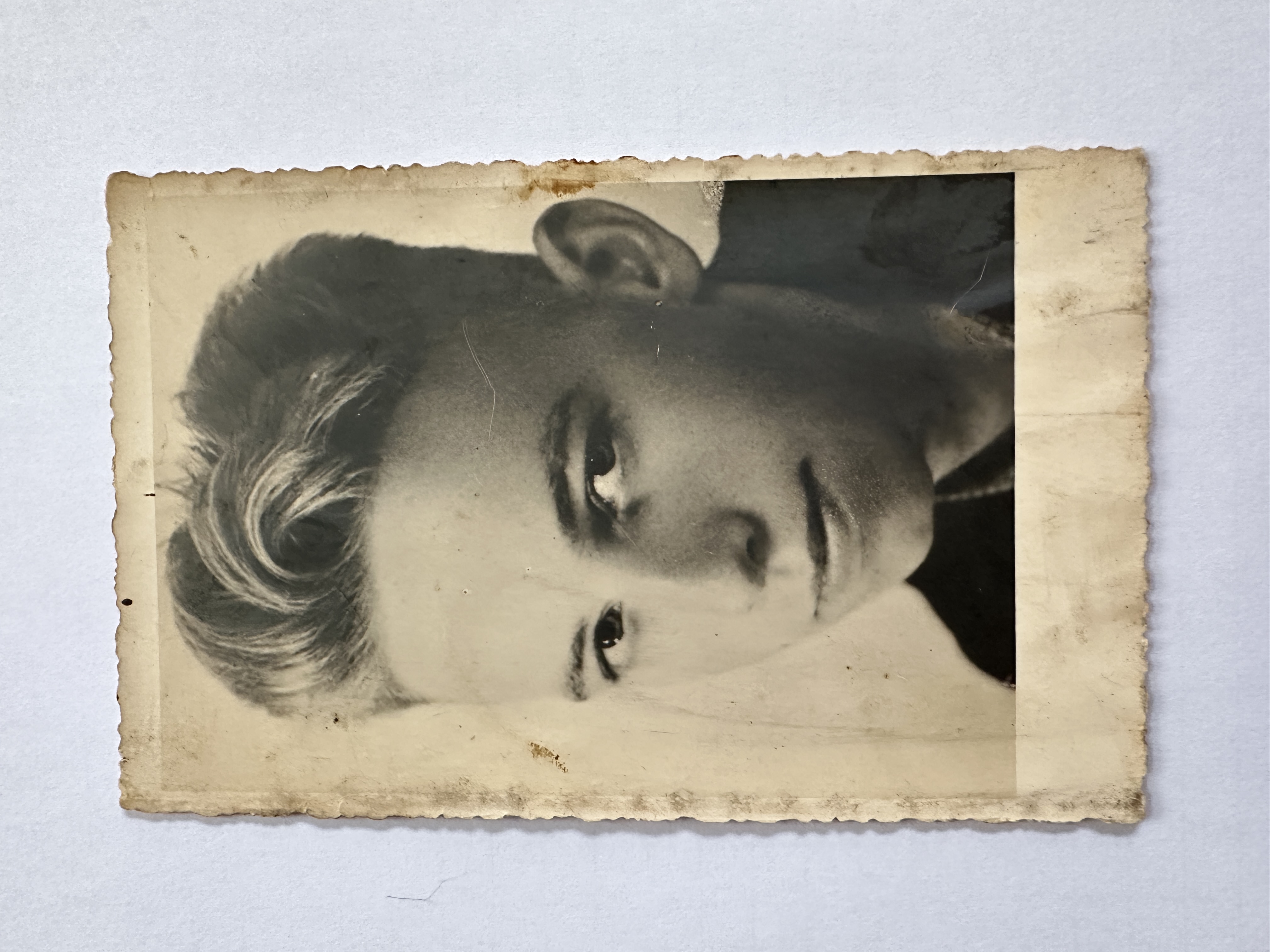 Evert van den Enk