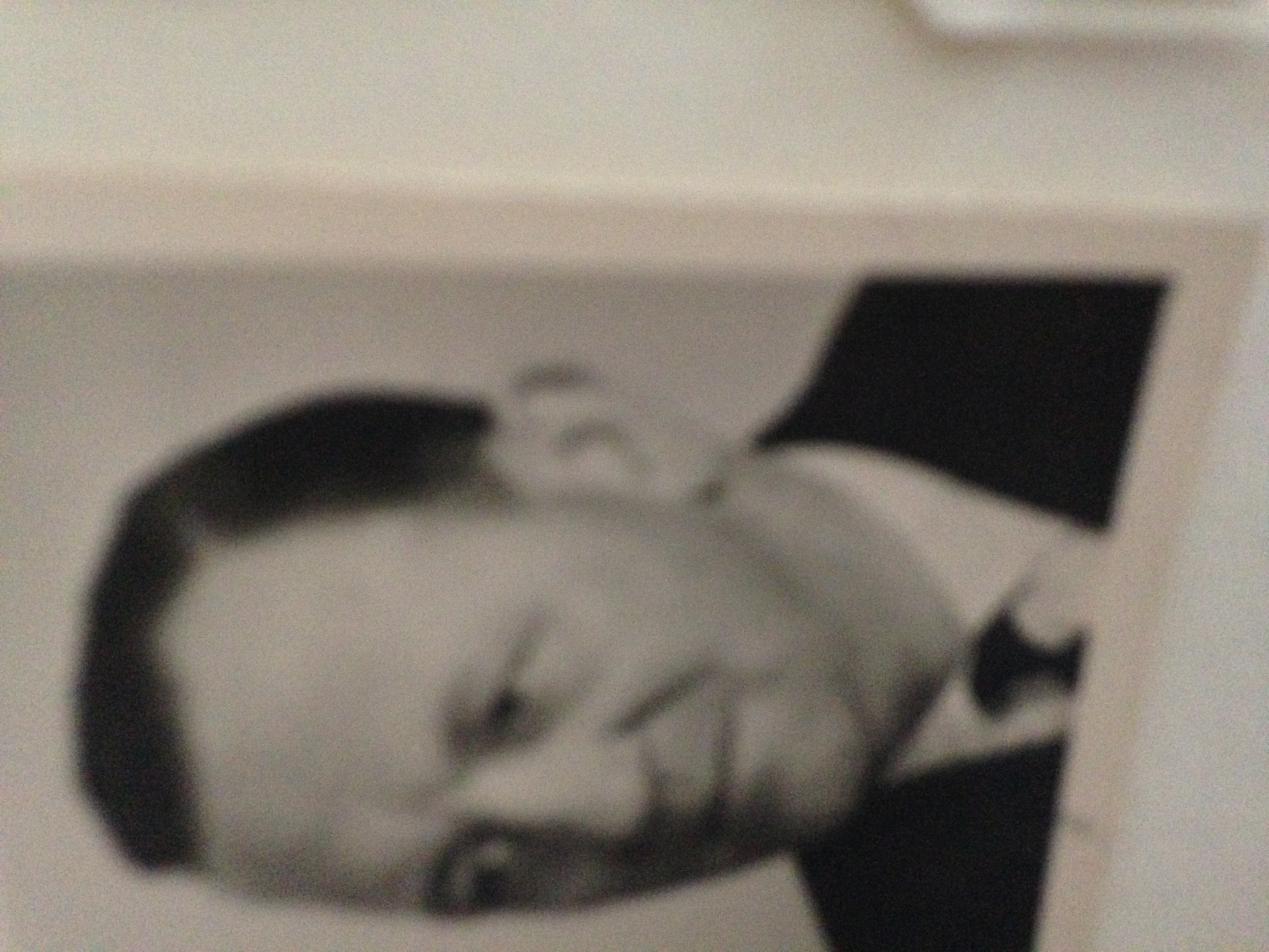 Jan van Klaveren