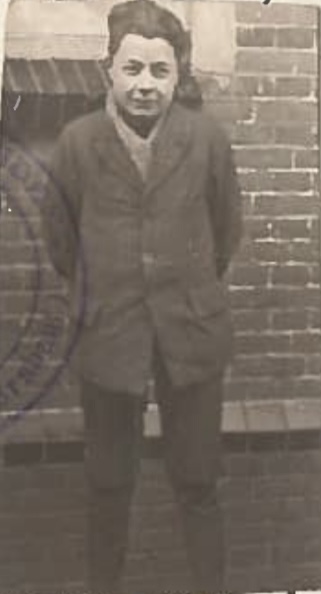 A.J de Geus