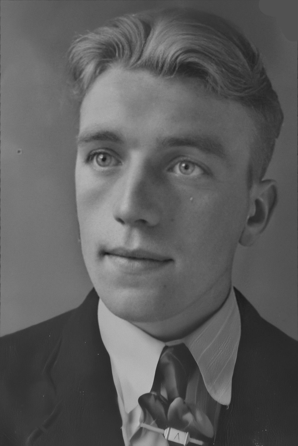 Jan Vellinga
