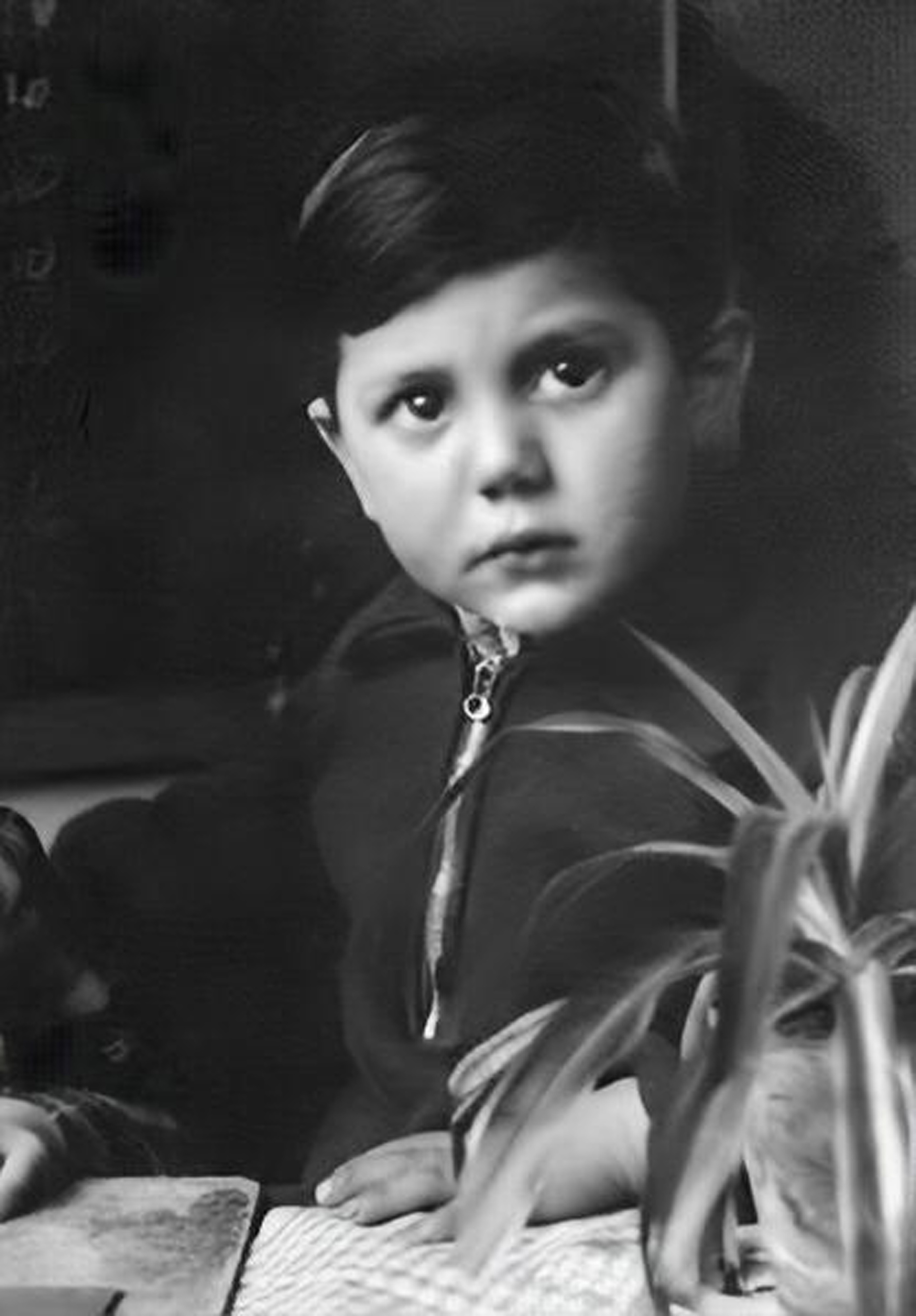 Nico van Stratum