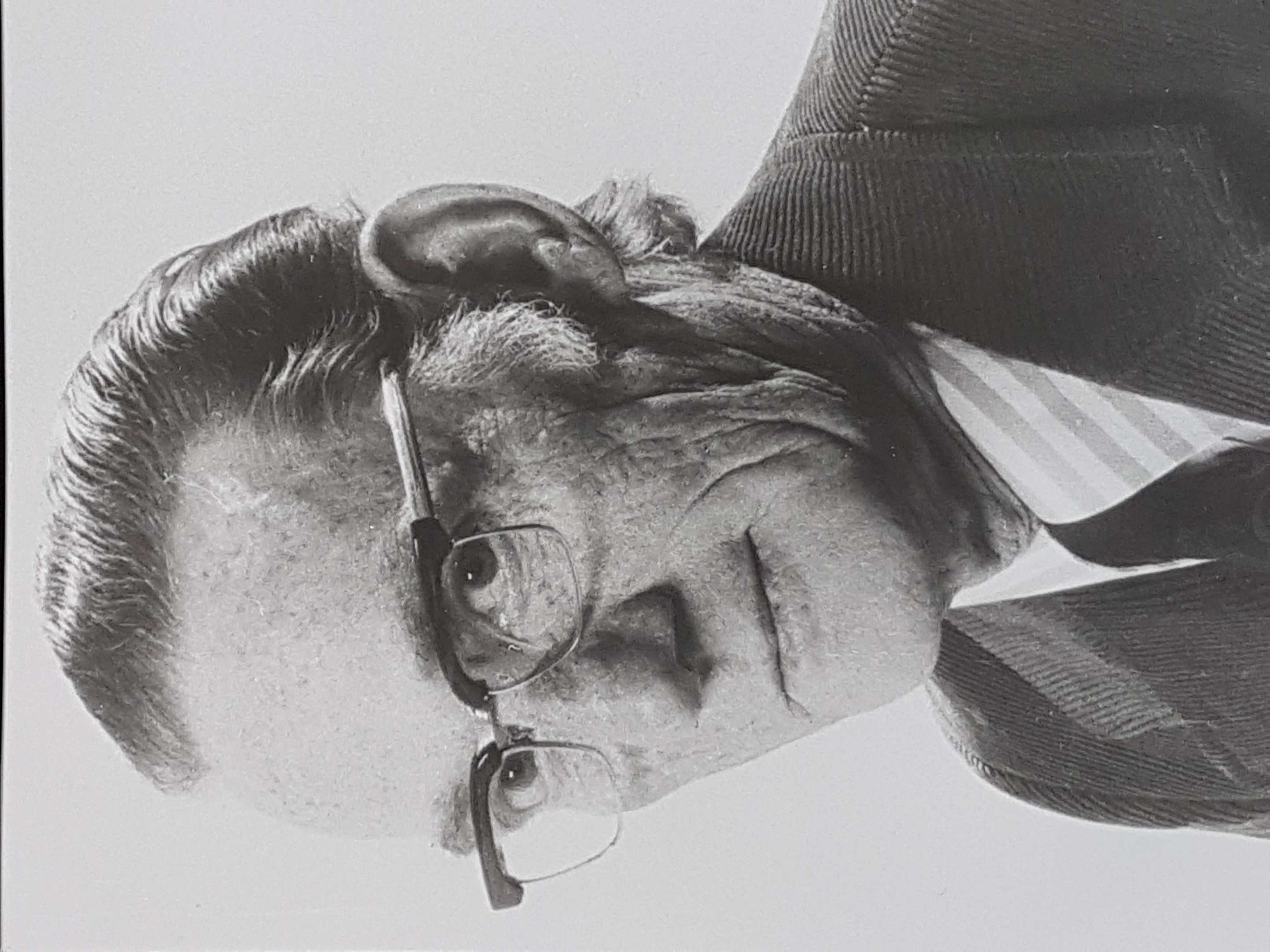 Cornelis van Pelt